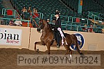 09yn-10324 proof
