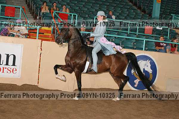 Proof 09yn-10325