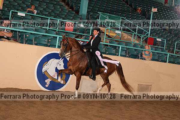 Proof 09yn-10328