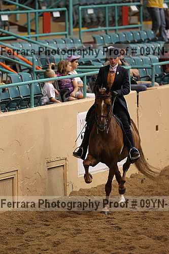 Proof 09yn-10334