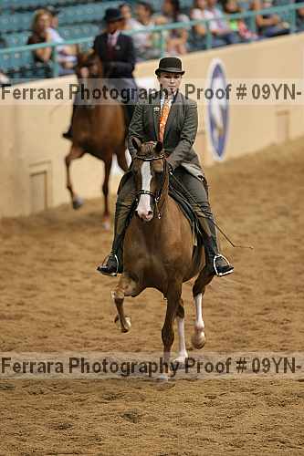 Proof 09yn-10337
