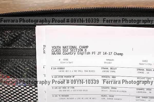 Proof 09yn-10339