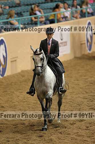 Proof 09yn-10343