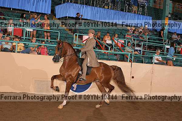 Proof 09yn-10344