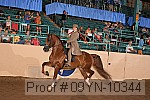 09yn-10344 proof