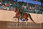 09yn-10345 proof