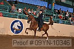 09yn-10346 proof