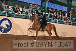 09yn-10347 proof