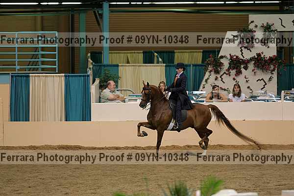 Proof 09yn-10348