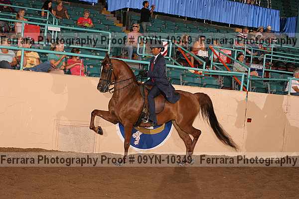 Proof 09yn-10349