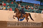 09yn-10349 proof