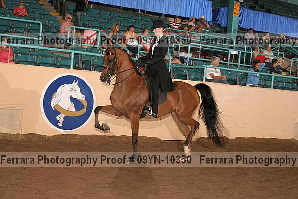 Proof 09yn-10350