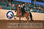 09yn-10350 proof