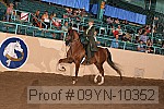 09yn-10352 proof