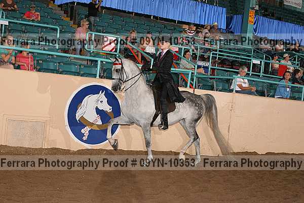 Proof 09yn-10353