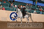09yn-10353 proof