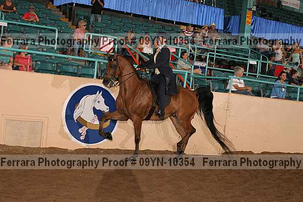 Proof 09yn-10354