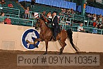 09yn-10354 proof