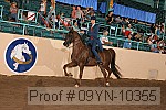 09yn-10355 proof