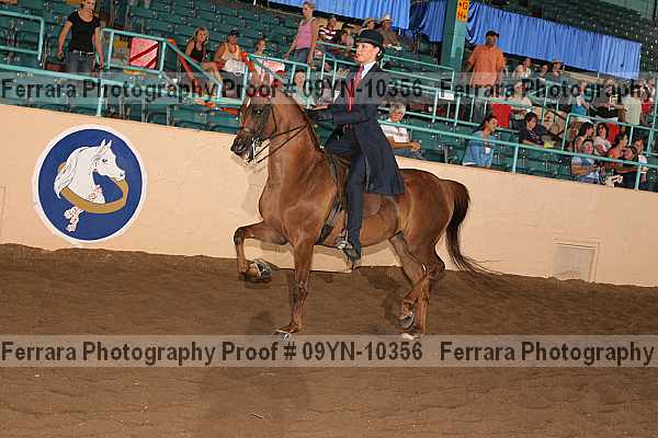Proof 09yn-10356