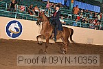 09yn-10356 proof