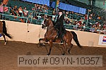 09yn-10357 proof