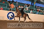 09yn-10358 proof