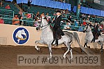 09yn-10359 proof