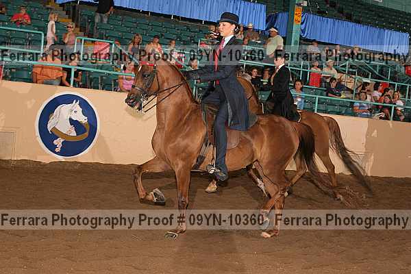 Proof 09yn-10360