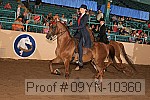 09yn-10360 proof