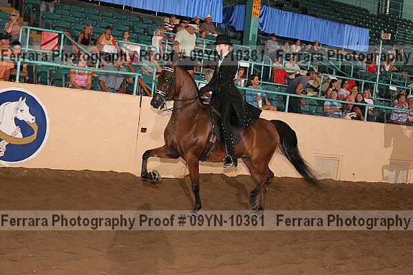 Proof 09yn-10361