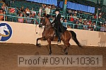 09yn-10361 proof