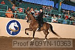 09yn-10363 proof