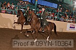 09yn-10364 proof