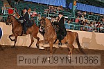 09yn-10366 proof