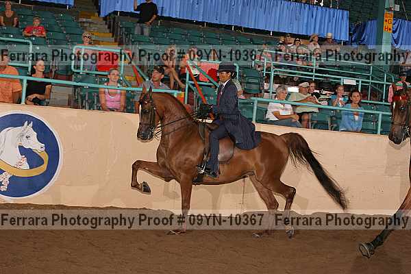 Proof 09yn-10367
