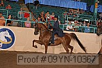 09yn-10367 proof