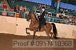 09yn-10368 proof