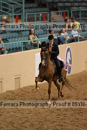 Proof 09yn-10369