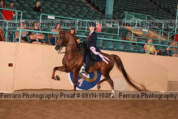 Proof 09yn-10382