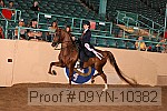 09yn-10382 proof
