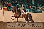09yn-10383 proof