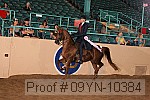 09yn-10384 proof