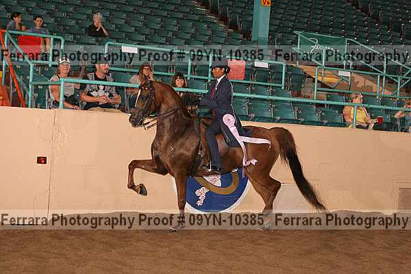 Proof 09yn-10385
