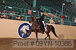 09yn-10386 proof