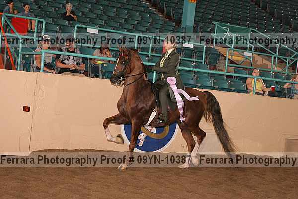 Proof 09yn-10387
