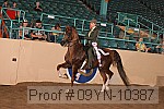 09yn-10387 proof