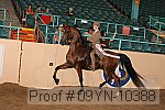 09yn-10388 proof