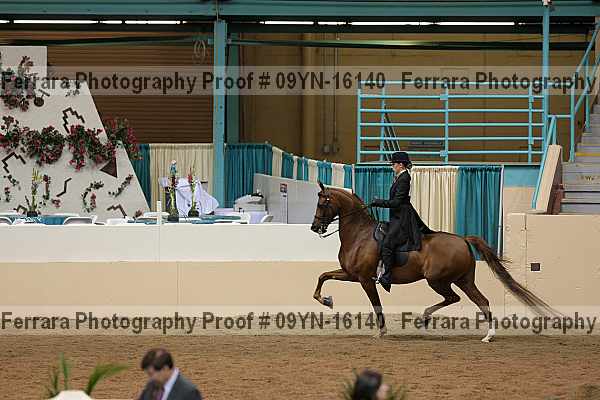 Proof 09yn-16140