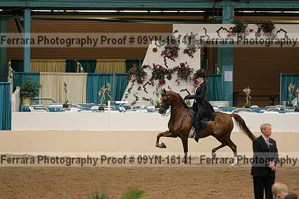 Proof 09yn-16141